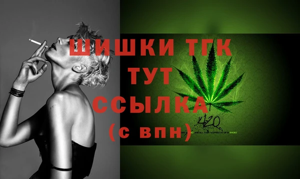 первитин Снежногорск