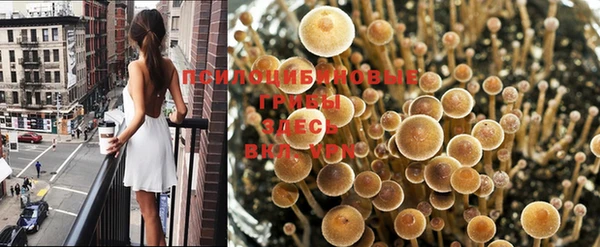мет Абаза