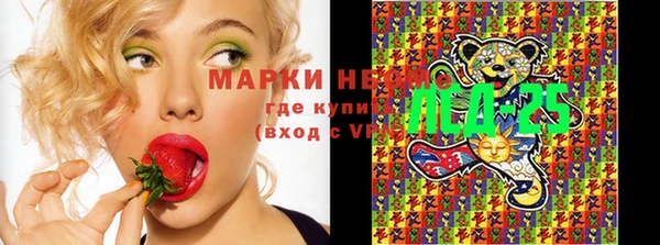 герыч Снежинск